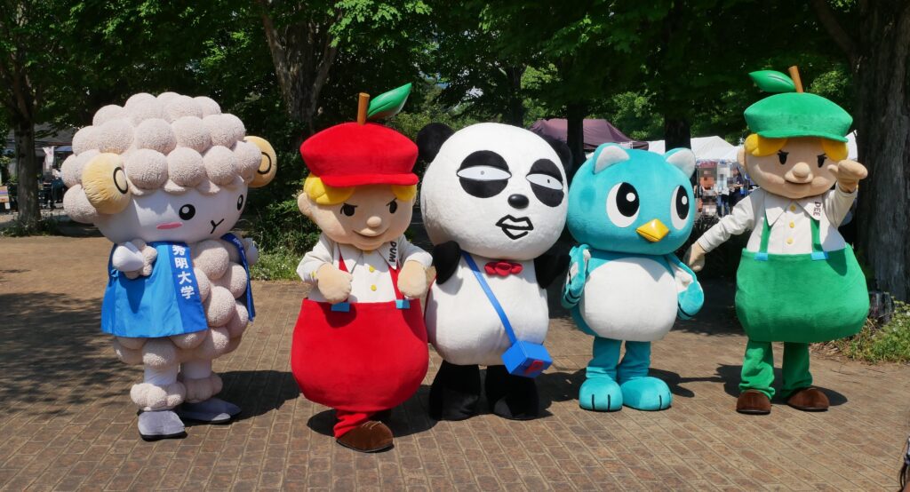 ディー ダム
