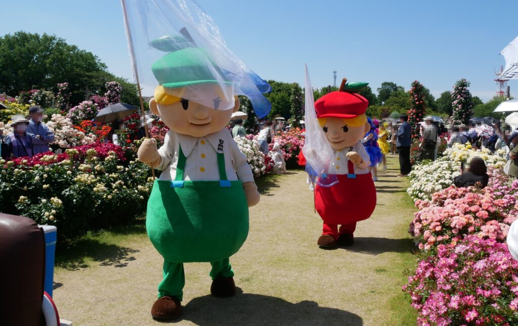 ディー ダム