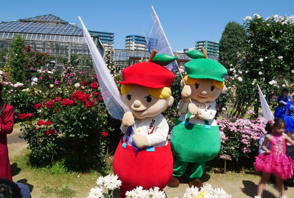 ディー ダム