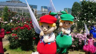 ディー ダム