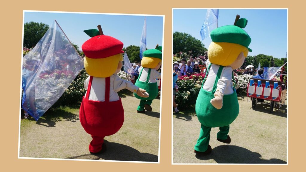 ディー ダム