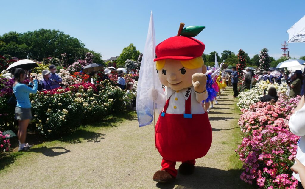 ディー ダム