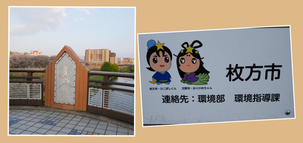 枚方市　天の川