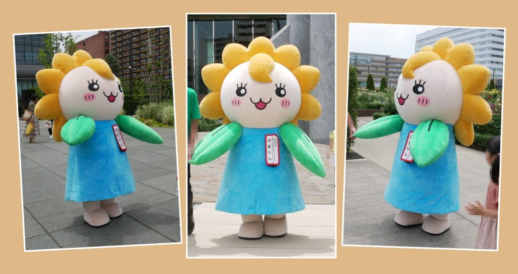 ひまりん