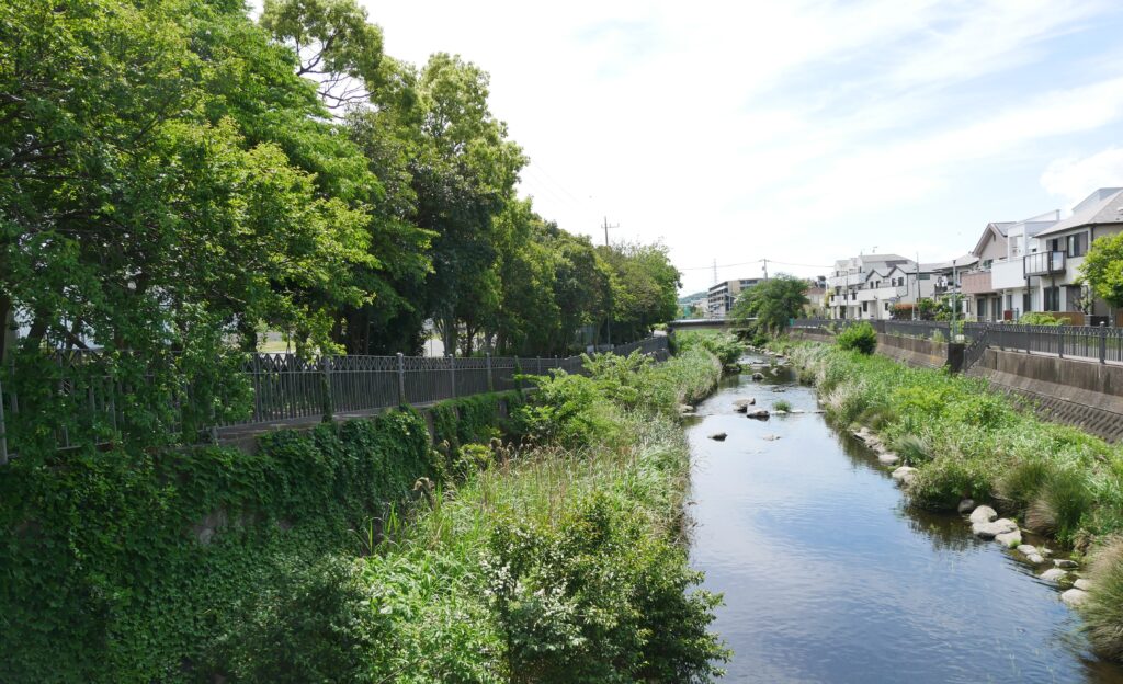 いたち川