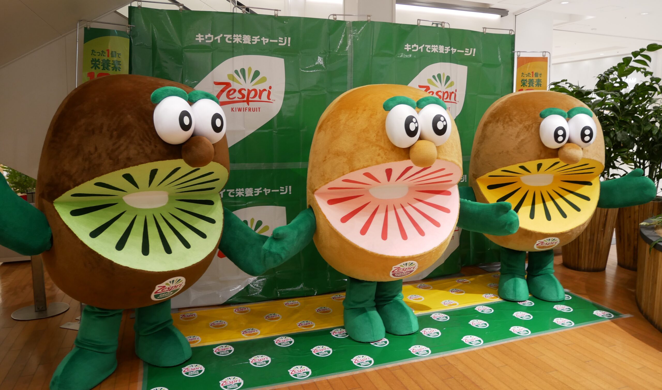 ゼスプリのキウイブラザーズ写真集｜ゆるキャラ