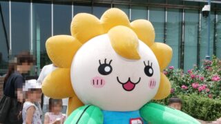 ひまりん
