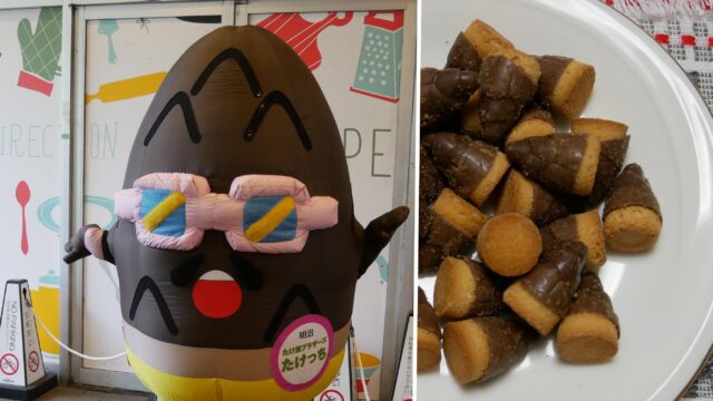 たけ里ブラザーズ　たけのこの里