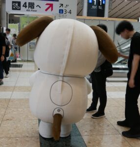 aibo(アイボ)