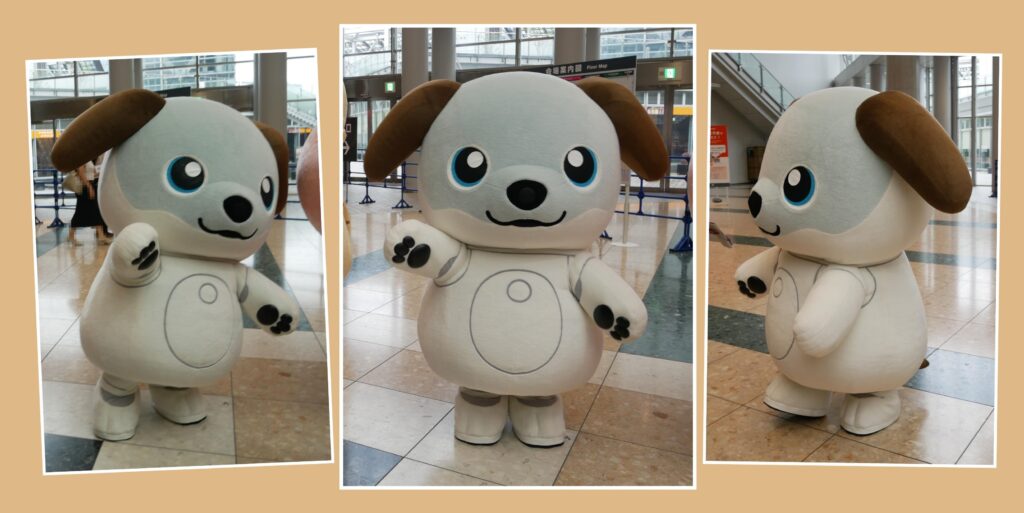 aibo(アイボ)