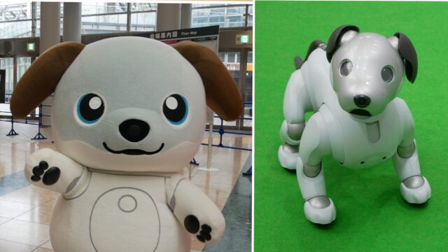aibo(アイボ)