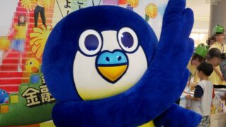 ケイヨウインコ