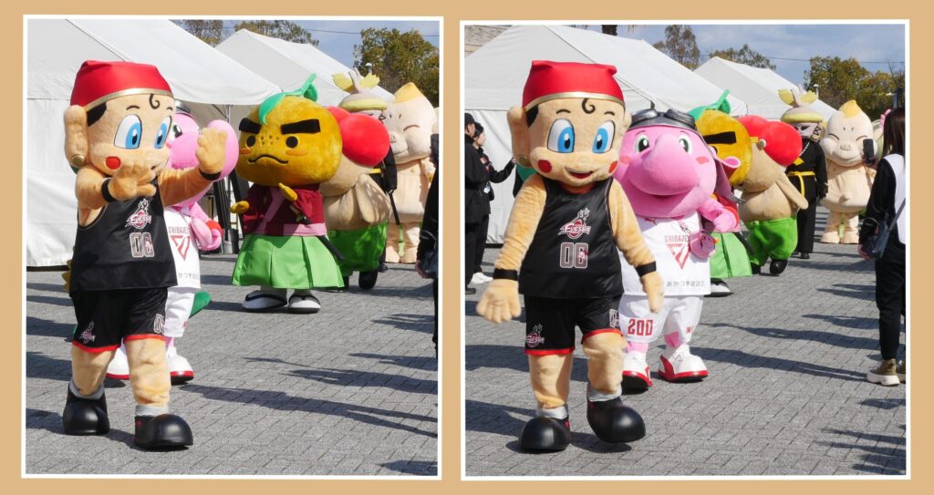 まいどくん
