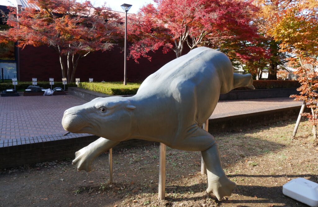 埼玉県立自然の博物館