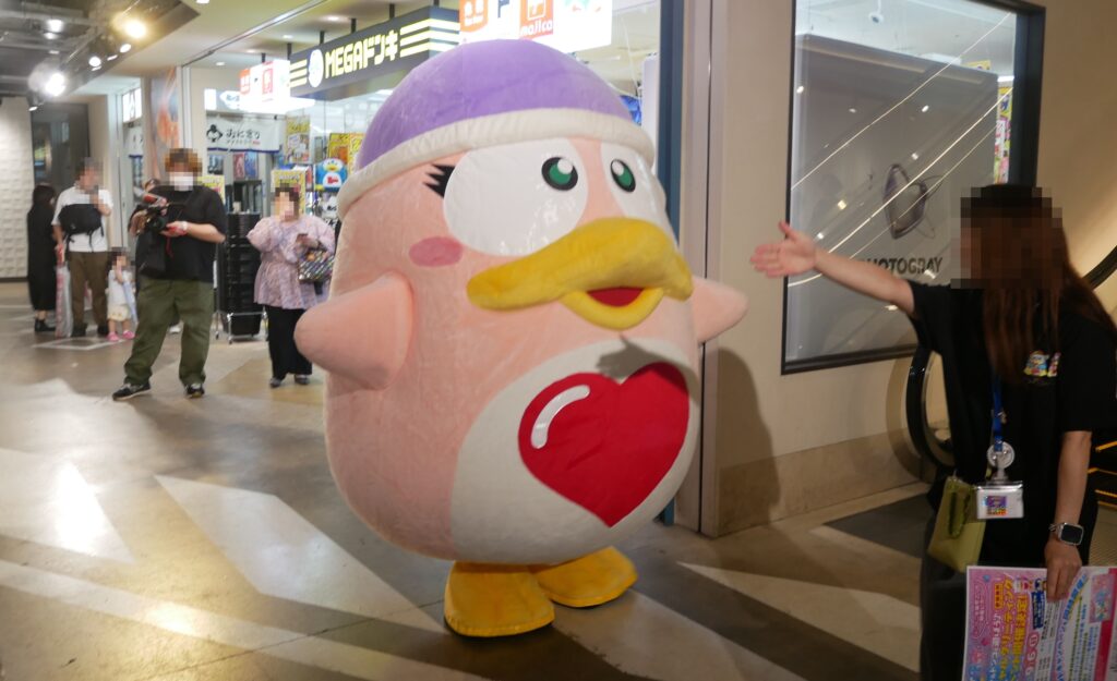 ドンコ