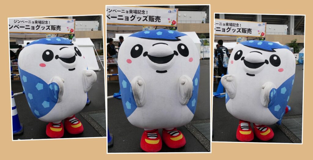 ジンベーニョ