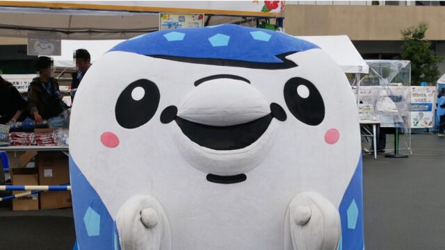 ジンベーニョ